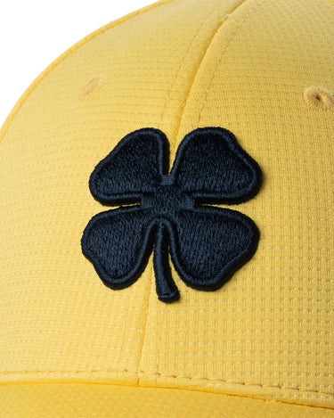 Black Clover IRON X SUNSHINE