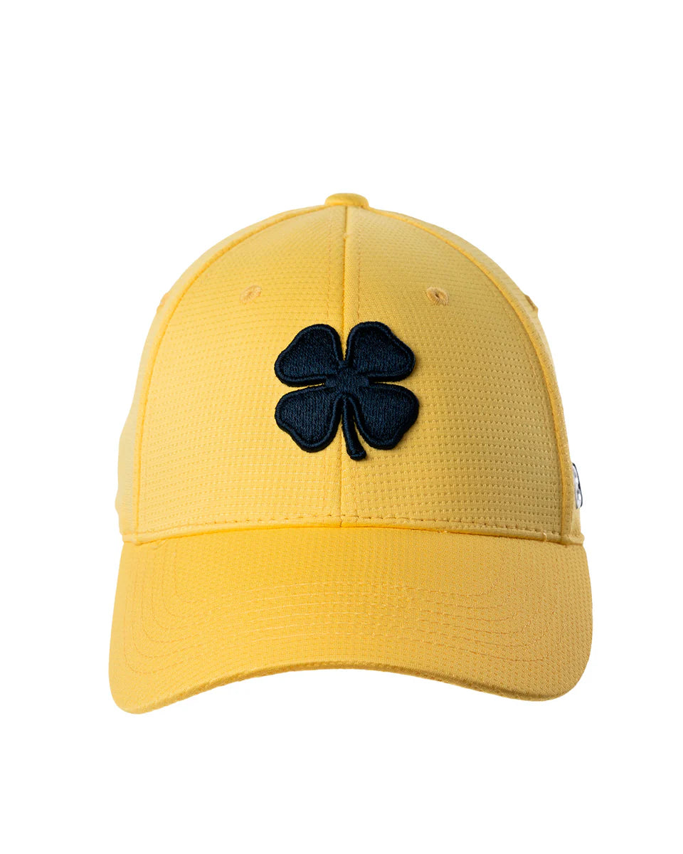 Black Clover IRON X SUNSHINE