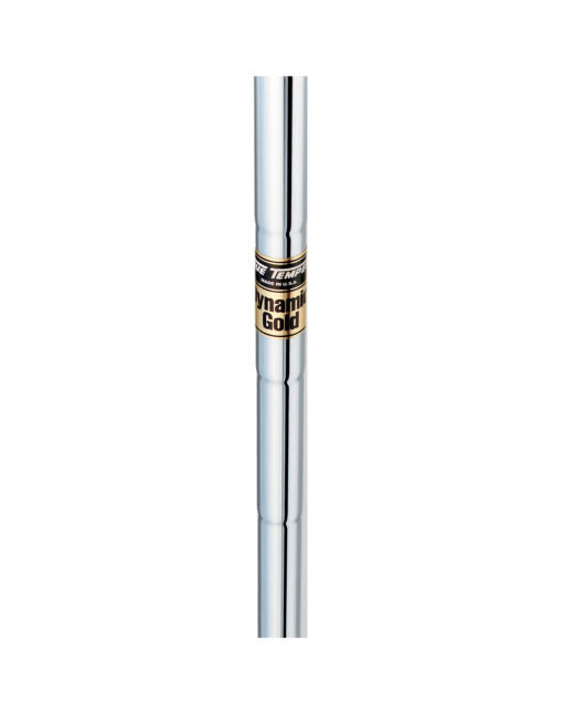 Varilla True Temper Dynamic Gold Parallel Iron